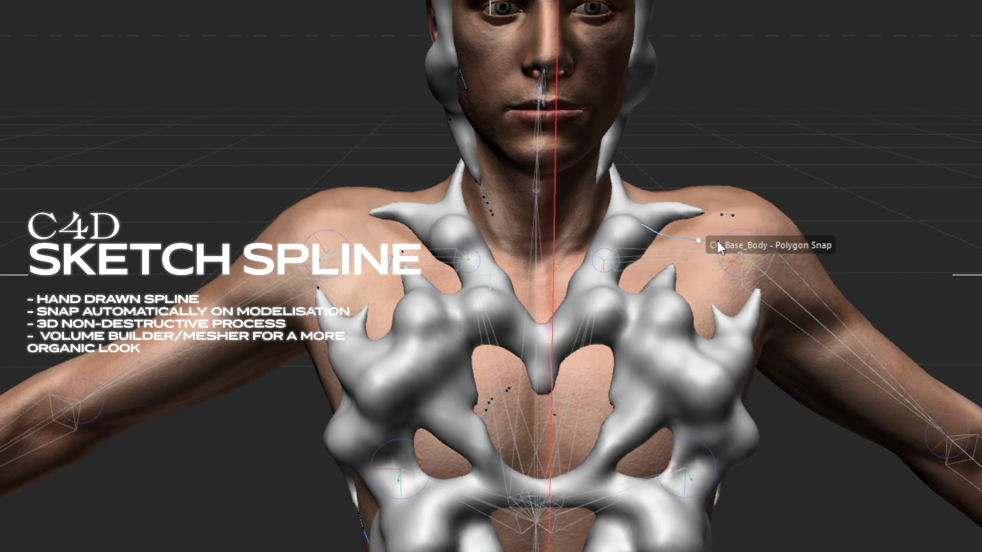 C4D SKETCH SPLINE (No plugin)