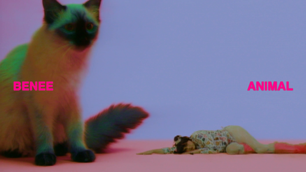 Benee – ANIMALS